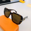 2022 New Fake Hermes Sunglasses RS23261