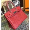 Knockoff Hermes Autruche Ostrich Birkin 30cm Bag Handstitched Silver Hardware Handstitched, Fuschia Pink 5J RS11134