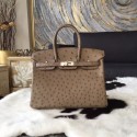 Sale 1:1 Hermes Birkin 25cm Autruche Ostrich Bag Palladium Hardware Handstitched, Etoupe CK18 RS16613