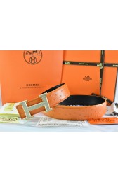 Designer Replica Hermes Belt 2016 New Arrive - 178 RS15724