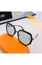 Hermes Sunglasses 13 RS10683