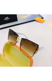 Hermes Sunglasses - 88 RS20510