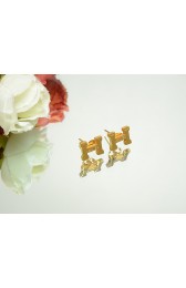 Hermes Earring - 2 RS21141