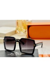 Hermes Sunglasses 1 RS00874