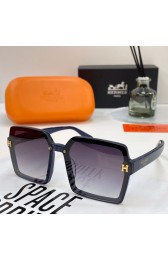 Hermes Sunglasses 34 Sunglasses RS09296