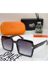 Hermes Sunglasses 35 RS21685