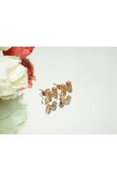 Luxury Hermes Earring - 6 RS11653