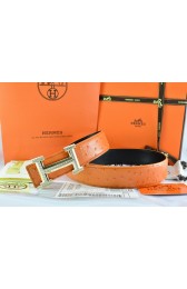 Top Fake Hermes Belt 2016 New Arrive - 176 RS10670
